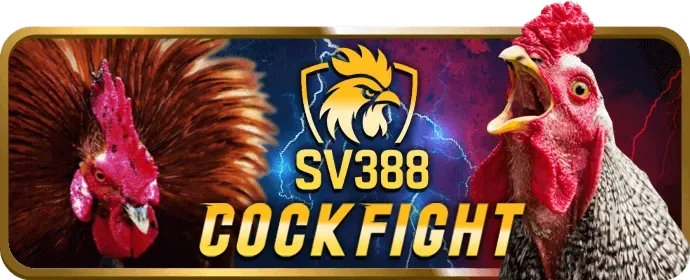 Giao diện nền tảng 56win login
